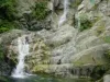 pai_idro_thumbnail